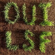 Les Savy Fav - OUI, LSF