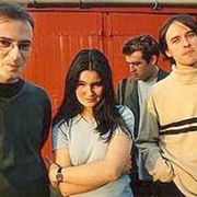 Coming in From the Cold - The Delgados