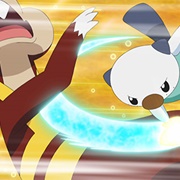 675. Rematch at the Nacrene Gym!