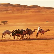 Sharqiya Sands, Oman