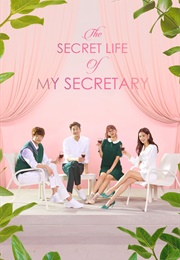 The Secret Life of My Secretary (2019)