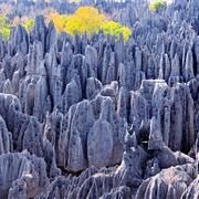 Tsingy De Bemaraha, Madagascar