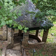 Dawson-Bailey Spring Site