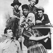 The Darlings Are Coming