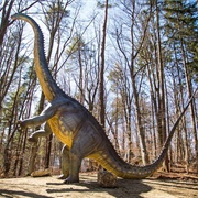 Dino Parc Râsnov, Romania