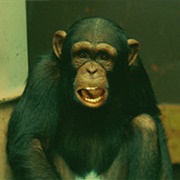 Big Time in Hollywood, FL: "Monkey Largo" (S1,E8)