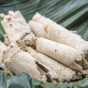 Enset (Ensete Ventricosum)