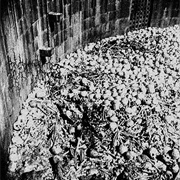 Ärid - My Throne of Disease Made From the Rotting Flesh of Those Who Befell My Plagues