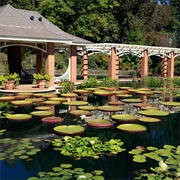 Huntsville Botanic Gardens, AL