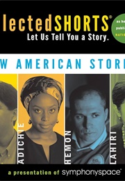 Selected Shorts: New American Stories (Cimamanda Adichie)