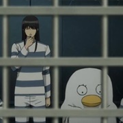 347. Machines That Pick Up Useless Habits Are Called People