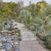 Ruth Bancroft Gardens, San Francisco, US