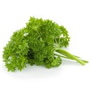 Curly Parsley