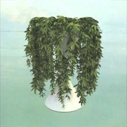 Errors - Lease of Life