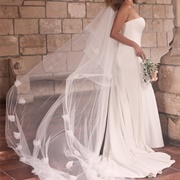"Statement" Veil With Simple Dress