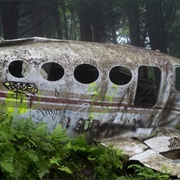 Plane Crash at Waterrock Knob (Permanently Closed)