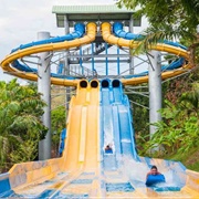 Piscilago Parque Acuático, Bogotá, Colombia