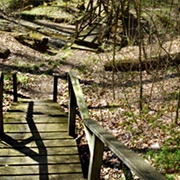 Swine Creek Reservation