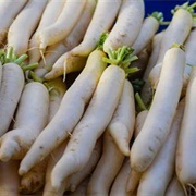 Daikon Radish