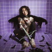 Fake Love - Lil Lotus