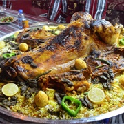 Stuffed Camel (Saudi Arabia/Arizona)