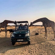 Sondela Game Reserve