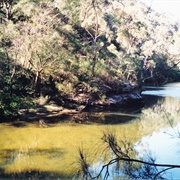 Ku-Ring-Gai Chase National Park