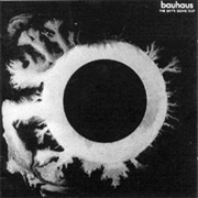 Bauhaus - All We Ever Wanted Was Everything