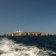 Seahorses to Farne Islands, Northumberland