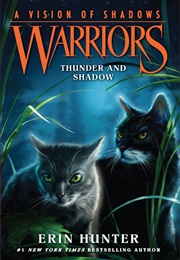 Thunder and Shadow (Arc 6)