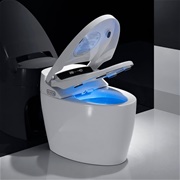 Smart Toilet