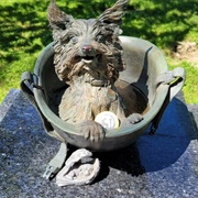 Yorkie Doodle Dandy Memorial