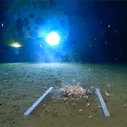 Mariana Trench, Pacific Ocean