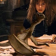 Norbert (Harry Potter and the Philosopher's Stone)