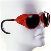 Side Panel Sunglasses