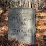 Fabius Page's Mule and Horse Graveyard