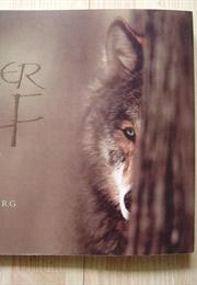 Brother Wolf (Jim Brandenburg)