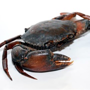 Baked Black Crab