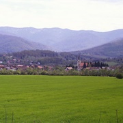 Vitez