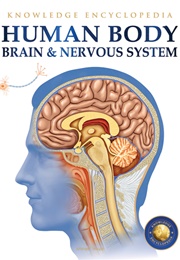 Human Body: Brain and Nervous System (Wonder House Books)