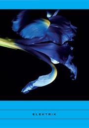 Elektrik: Caribbean Writing (Collective)