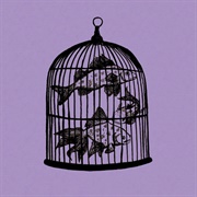 Rule #13-Waterfall - Fish in a Birdcage, Kristina Helene