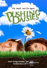 Pushing Daisies (TV Series) (2007)