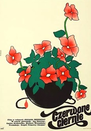 Czerwone Ciernie (1977)