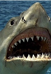 The Shark: Jaws (1975)