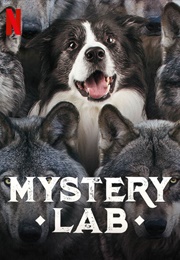 Mystery Lab (2020)