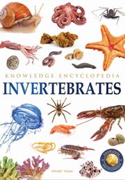 Animals: Invertebrates (Wonder House Books)