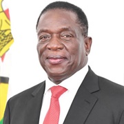 Emmerson Mnangagwa (President of Zimbabwe)