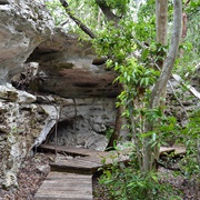 Primeval Forest National Park