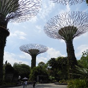 Gardens by the Bay, Singapore